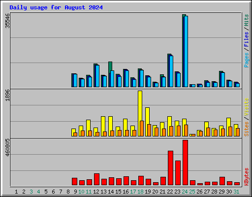 Daily usage for August 2024
