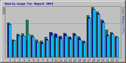Hourly usage for August 2024