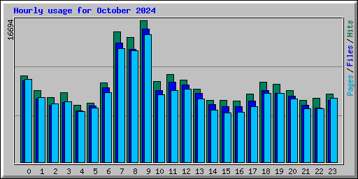 Hourly usage for October 2024