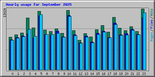 Hourly usage for September 2025