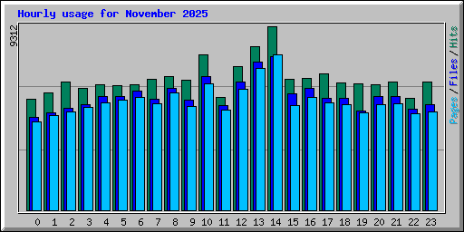 Hourly usage for November 2025
