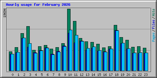 Hourly usage for February 2026